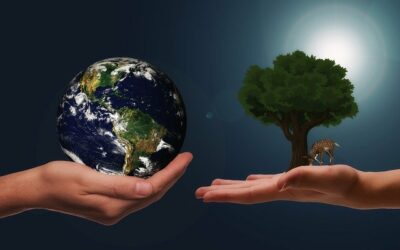 Hygiène des locaux professionnels : concilier efficacité et protection de l&rsquo;environnement